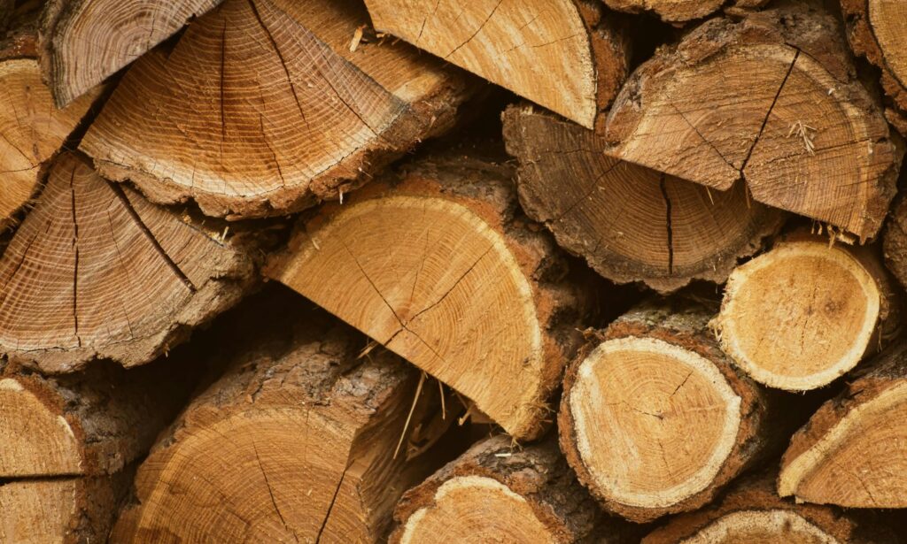 How Natural Wood Enhances Everyday Living