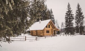 log home myths