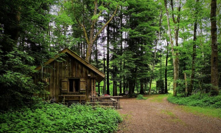 How to create a forest retreat that reflects your personality