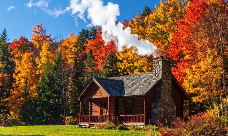 Building a dream cabin with confidence from planning to move in