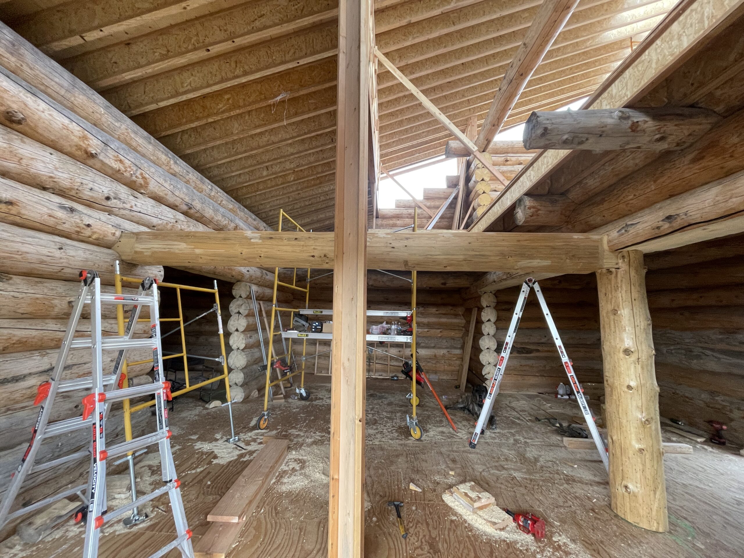Structural logs and roof framing inside the Burton log home