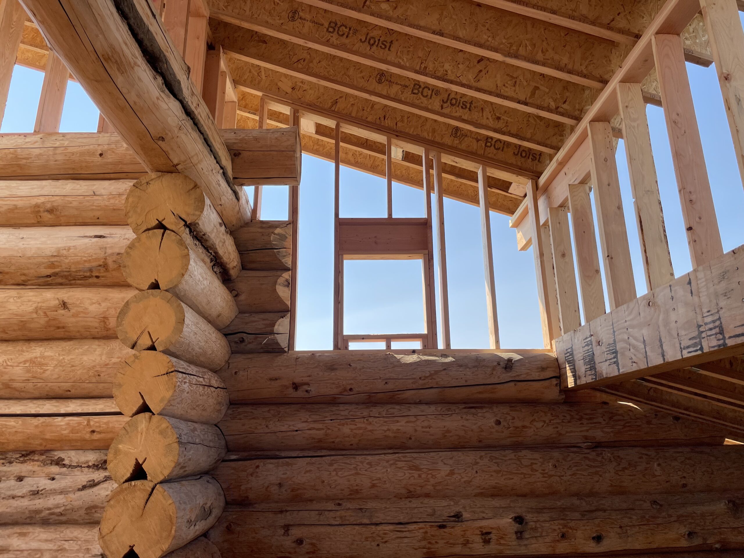 Window framing above the log walls on the Burton project