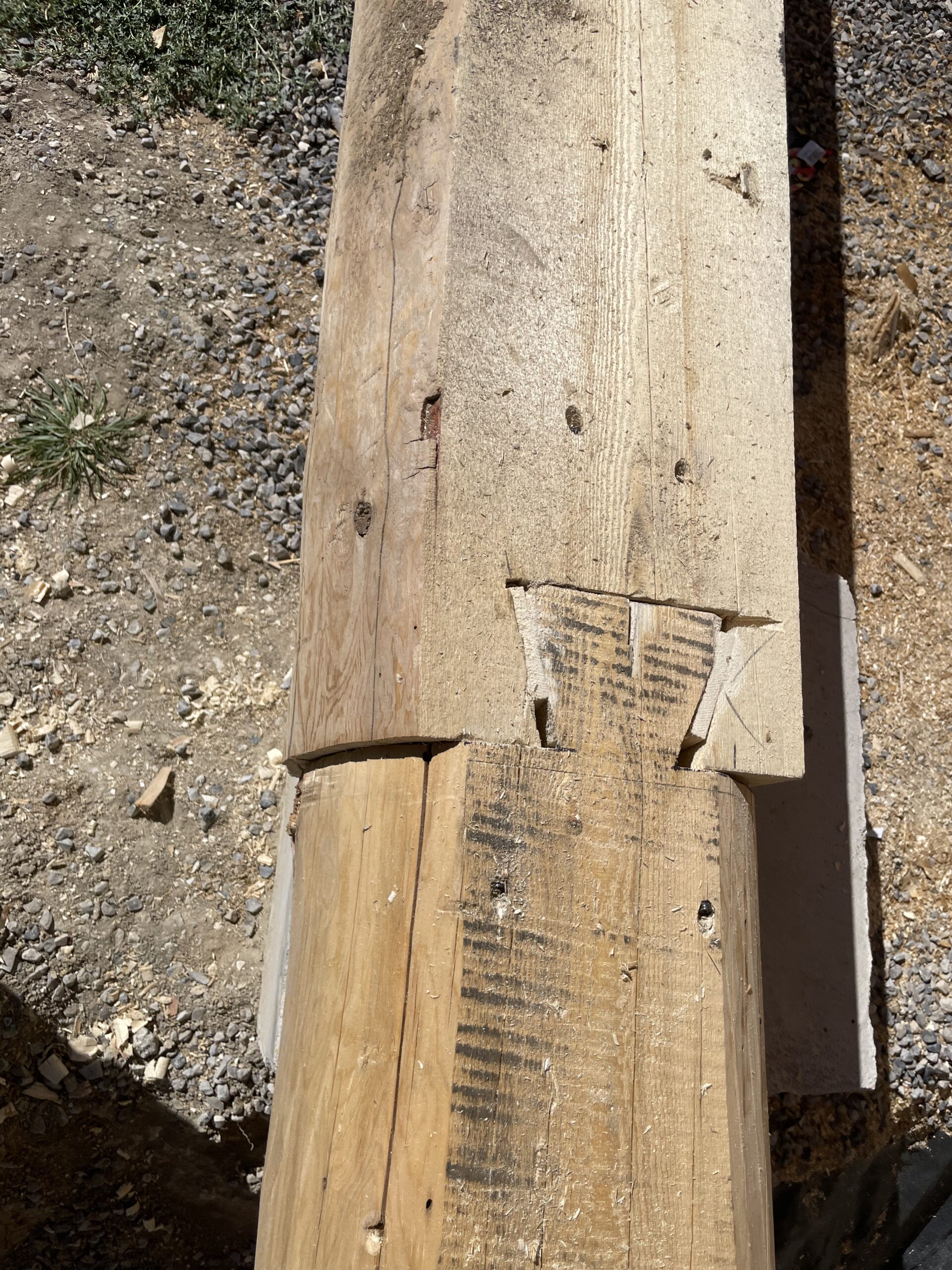 Handcrafted log joinery on the Collard's new-build project
