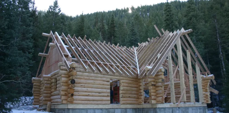 Exterior view of a log cabin under construction in a snowy forest, showing peeled log walls resting on a concrete foundation, with the exposed wooden rafters of a gable roof visible.